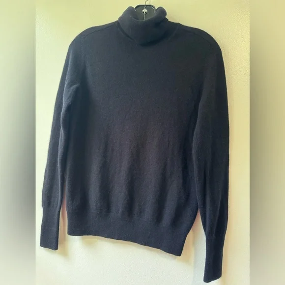 Everlane Cashmere Blue Turtleneck Sweater